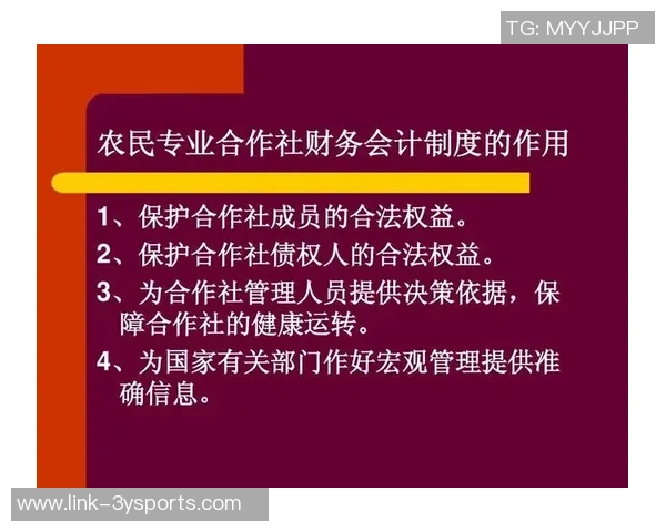 足球开销背后的经济学分析与俱乐部财务健康的关系探讨