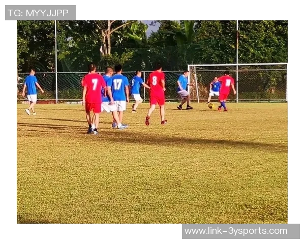 足球教会我们的团队精神与坚持不懈的奋斗精神